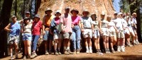 Kings Canyon '04